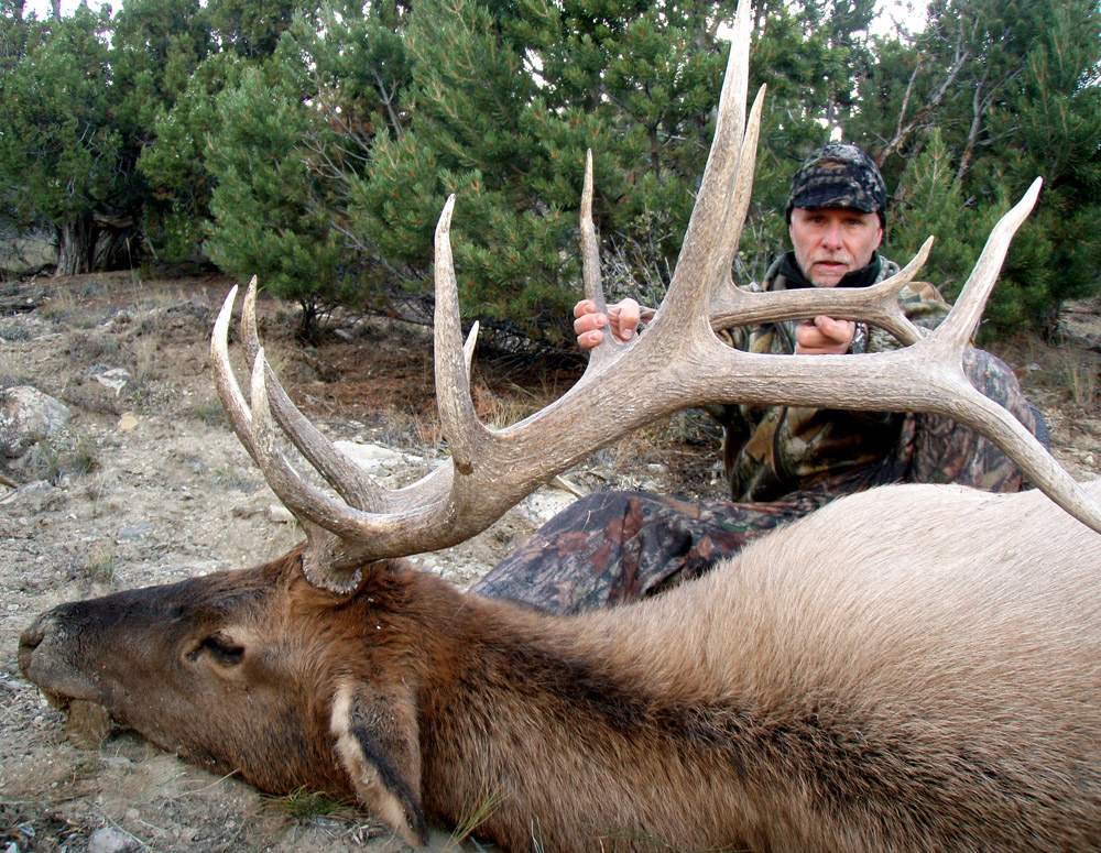 Public Land Elk Hunting: 5 Steps