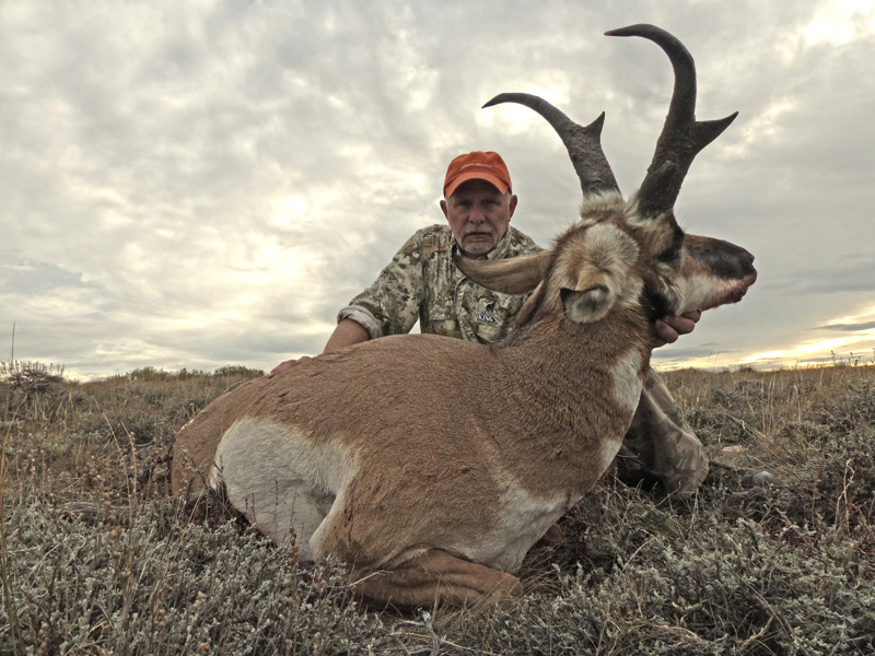 Dad's sweeping antelope buck